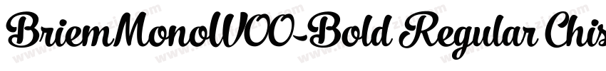 BriemMonoW00-Bold Regular Chisel No字体转换